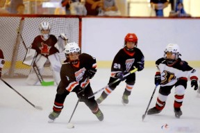 九游娱乐入口官网关于冰球常规赛，天山闪电队与洞庭玄武队绝杀，VAR改判成焦点！全面提速抢占先机的信息